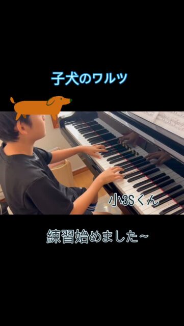 ⁡
sugawara.musicschool 
🔻フォローミー🔻
@sugawara.musicschool
⁡
⁡
音楽を楽しく学びながら
非認知能力もアップして
心が豊かに育つ音楽教室
⁡
⁡
🔶子犬のワルツ　練習始めました！
⁡
⁡
今回の発表会では
子犬のワルツにチャレンジ！！
⁡
⁡
年々、レベルアップに挑戦する
Sくんはとても頑張り屋さんです。
⁡
⁡
いろいろ言いながらも
弾いてるんです。
⁡
⁡
今は、譜読み中で
ゆっくりゆっくり練習
⁡
この積み重ねがあってこそ
素敵な子犬のワルツになるんですよね！
⁡
ファイト！！！
⁡
⁡
☆*:.｡. 菅原ミュージックスクール生徒募集中｡.:*☆
⁡
音楽の楽しさ、お伝えしてます♪
⁡
富谷市成田、明石台、杜の橋、富が丘、
大清水、上桜木、仙台市泉区、利府市から通っていただいてます。
⁡
🍀只今の生徒募集については
随時お問い合わせ下さい♪
⁡
⁡
⁡
⁡
🌸遠方の方はzoom、LINEによる
オンラインレッスンも行っております。
⁡
⁡
好きな場所で気軽にレッスン！
移動時間、送迎、など不要
とても便利で集中できると好評です！
⁡
⁡
🌸好きなことをお仕事にしませんか？
⁡
ピアノ、エレクトーンの先生として活躍してみませんか？
ヤマハのグレード５級を最短最速で取得
菅原ミュージックスクールでは指導者養成コース募集中です。
⁡
体験レッスンのお問い合わせ、お申し込みは、
・プロフィールのメッセージ、メール
・菅原ミュージックスクールLINE公式アカウンにてお待ちしています。❤︎
⁡
🌹フォローミー🌹
⁡
菅原ミュージックスクール
@sugawara.musicschool 
⁡
🍀🍀🍀🍀🍀🍀🍀🍀🍀🍀
⁡
⁡
LINE＠からお問い合わせの方に最新情報配信中！
⁡
〜お問い合わせ・体験レッスンの
お申し込みの仕方〜
菅原とLINEでお友達になる♪
↓
@sugawara.musicschool 
こちらからプロフィール欄のURLを
クリック❣️
＊もし、追加出来ない場合はLINEより
@eym9916gでLINE ID検索！
(@マークを忘れずに)
⁡
インスタのメッセージからのお問い合わせも OKです！
⁡
菅原ミュージックスクールLINE公式アカウントでは、教室の詳細情報など配信していますので、ご登録の上、お気軽にご質問下さい
⁡
#富谷市ピアノ教室
#泉中央ピアノ教室
#ヤマハ音楽教室#富谷市エレクトーン教室
#仙台市エレクトーン教室
#富谷市大人のピアノ
#大和町ピアノ
#ピアノ初心者
#大人のオンラインレッス
#ヤマハグレード
#ヤマハグレード5級
#趣味のピアノ
#富谷市明石台ピアノ
#富谷市成田ピアノ教室
⁡
⁡